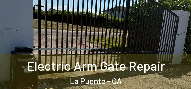 Electric Arm Gate Repair La Puente - CA