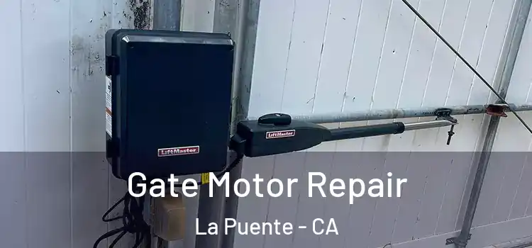 Gate Motor Repair La Puente - CA