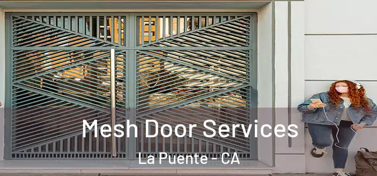 Mesh Door Services La Puente - CA